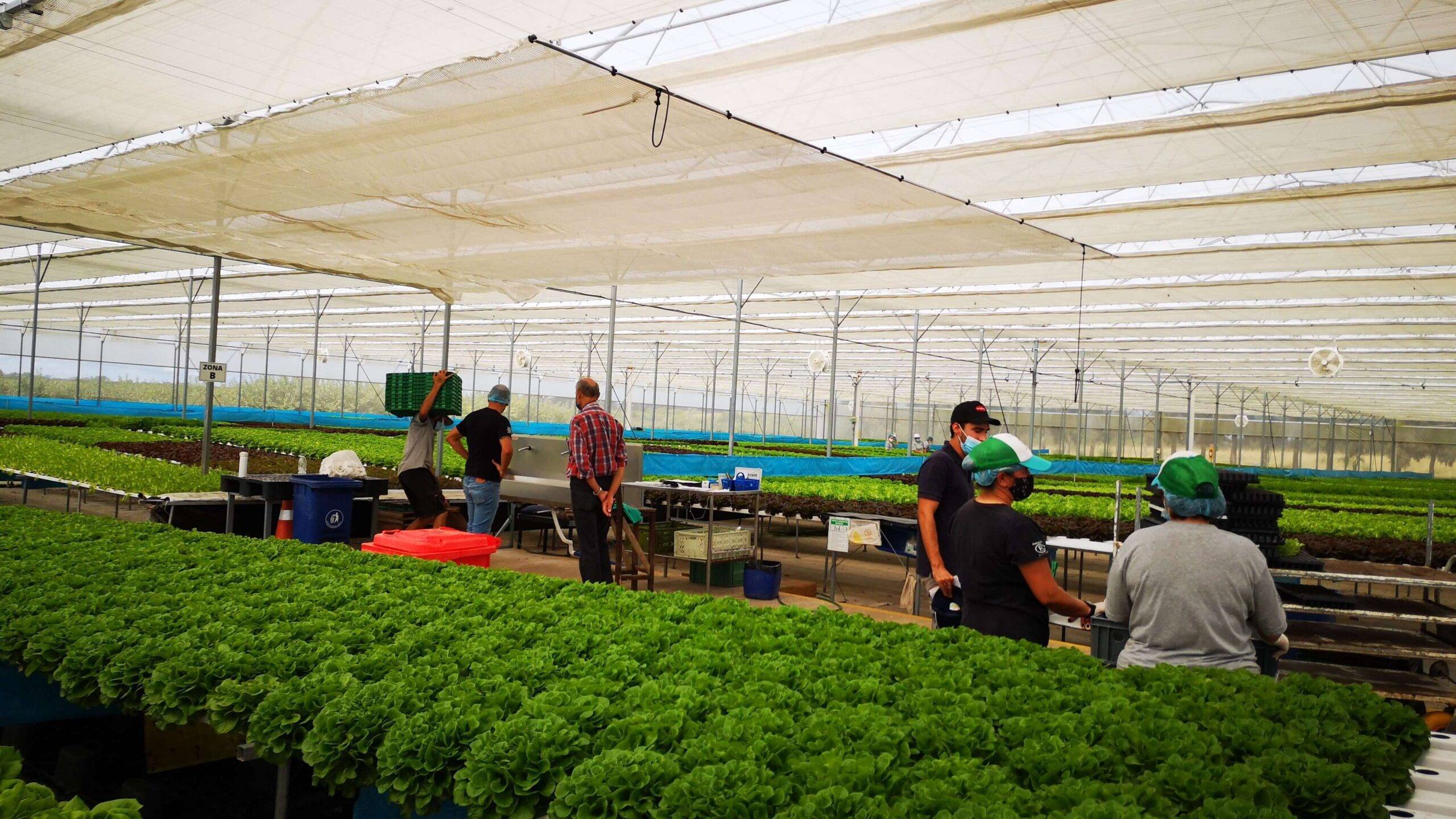 Principal (3)c|Socios b|Nave Loma Verde|Visitas en Loma Verde|Nave Loma Verde